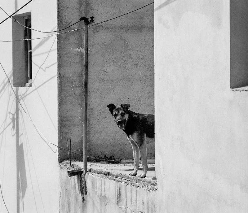 rowan_thornhill_argentina_006