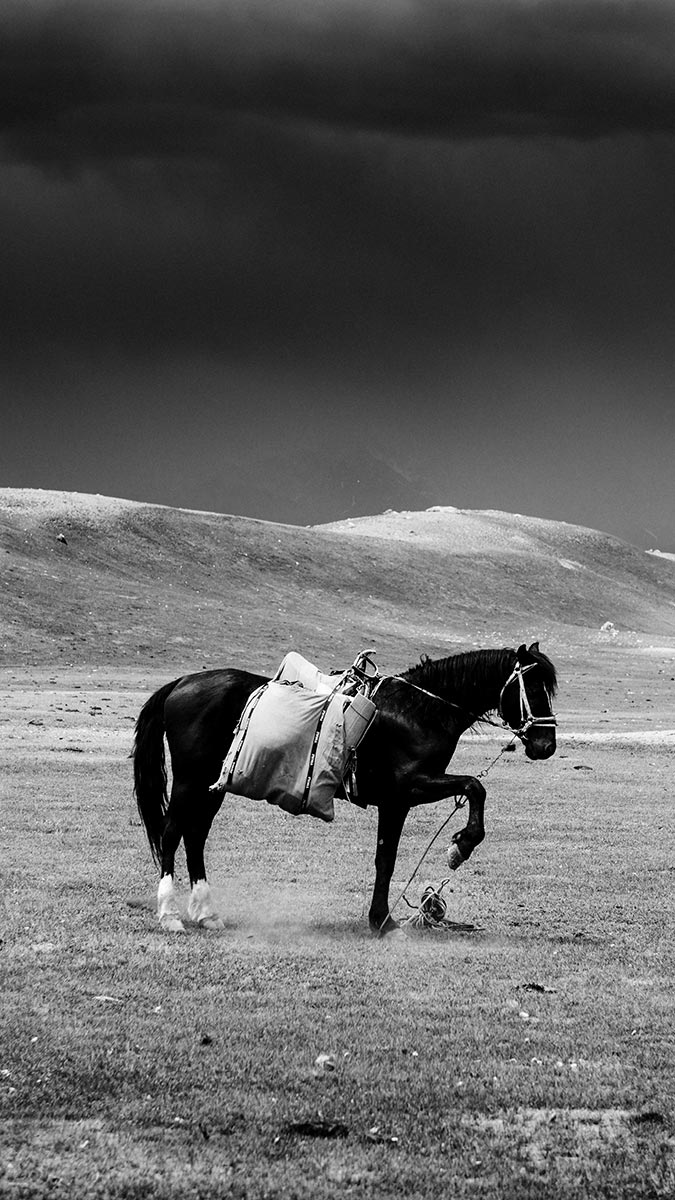 rowan_thornhill_slider_1200px_002