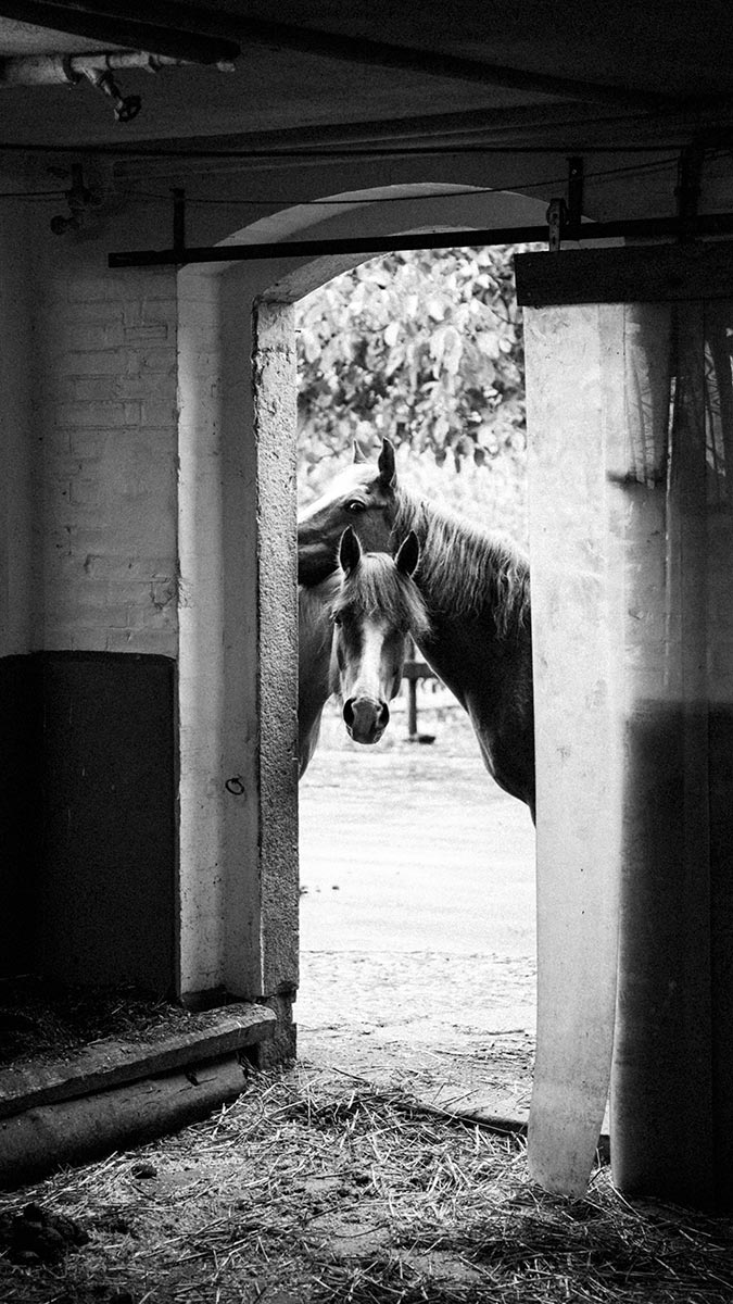 rowan_thornhill_slider_1200px_007