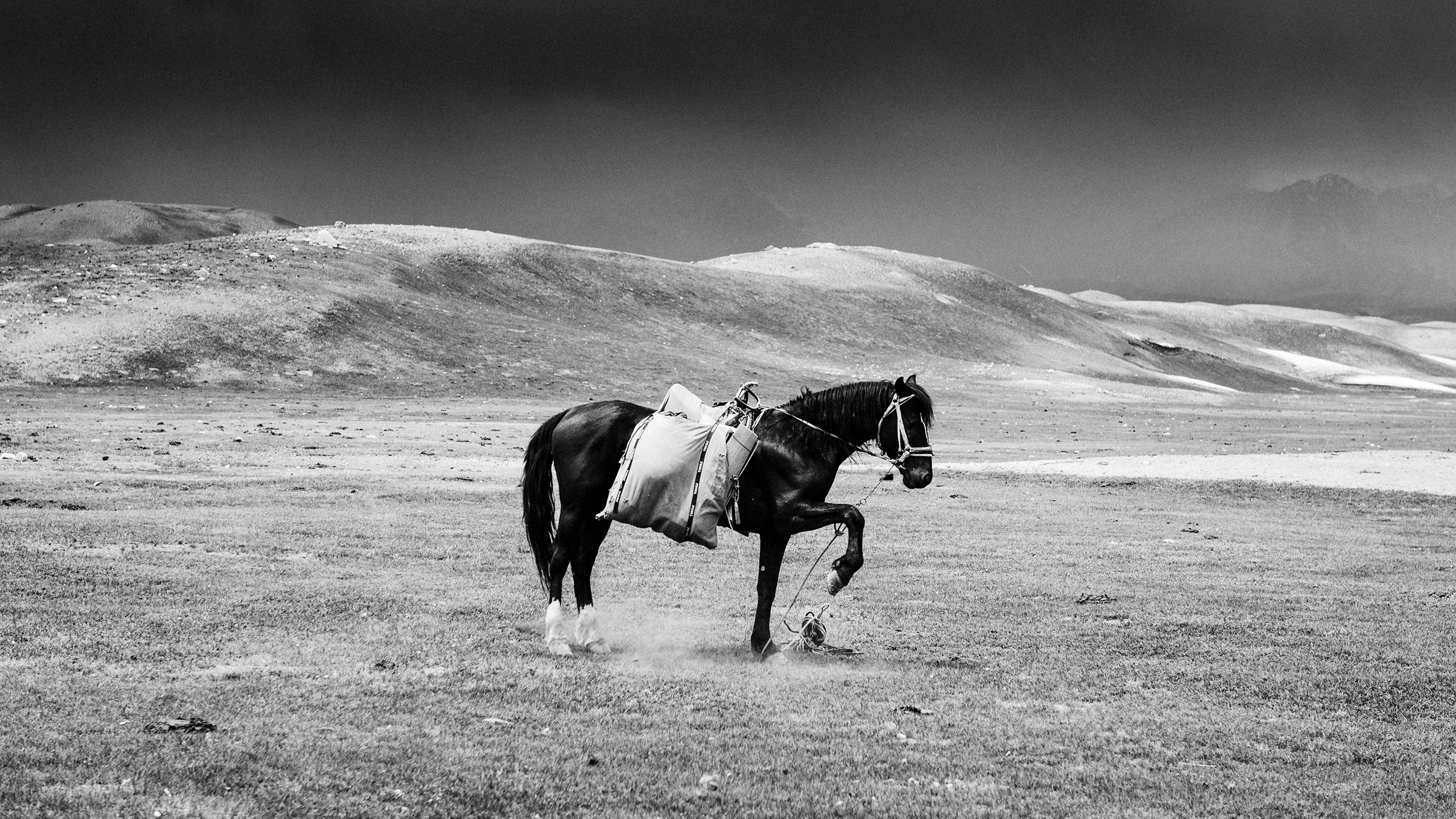 rowan_thornhill_slider_2560px_002