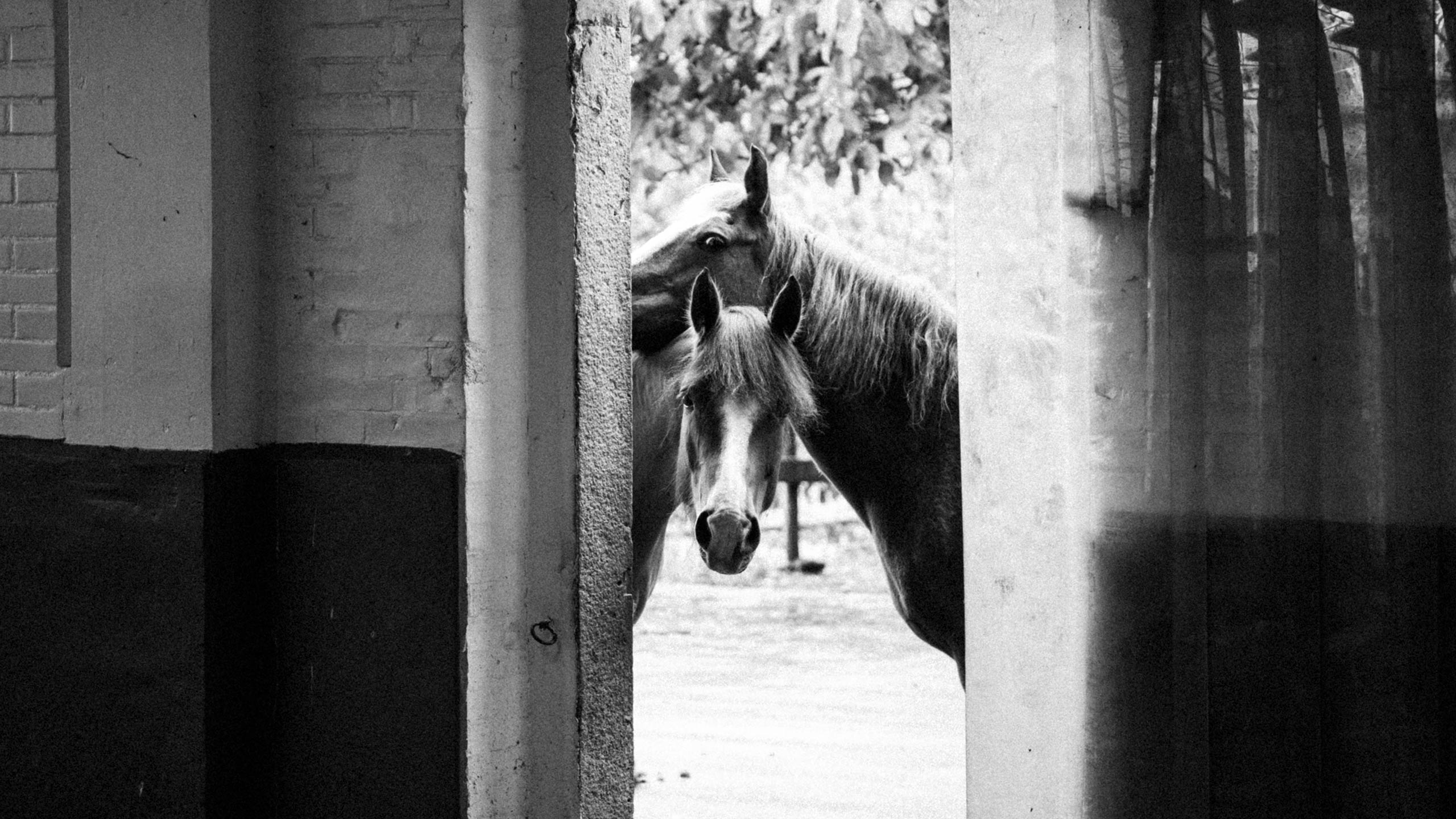 rowan_thornhill_slider_2560px_008